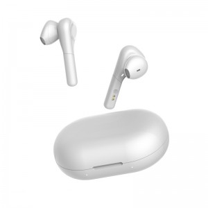 WS-33-48 Talen Vertalen Bluetooth 5.0 TWS-oortelefoons